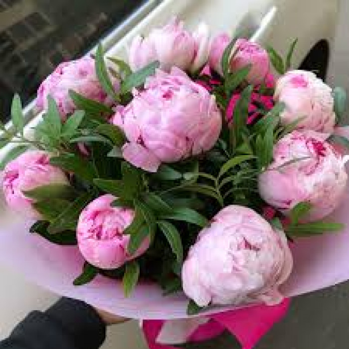 Пион древовидный в Байконуре