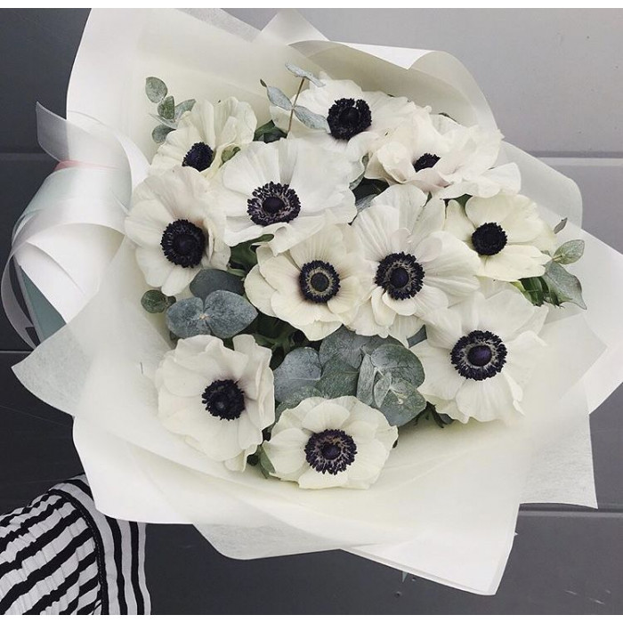 Анемоны в Байконуре