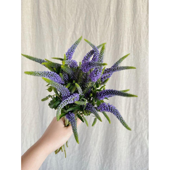 Вероника в Байконуре