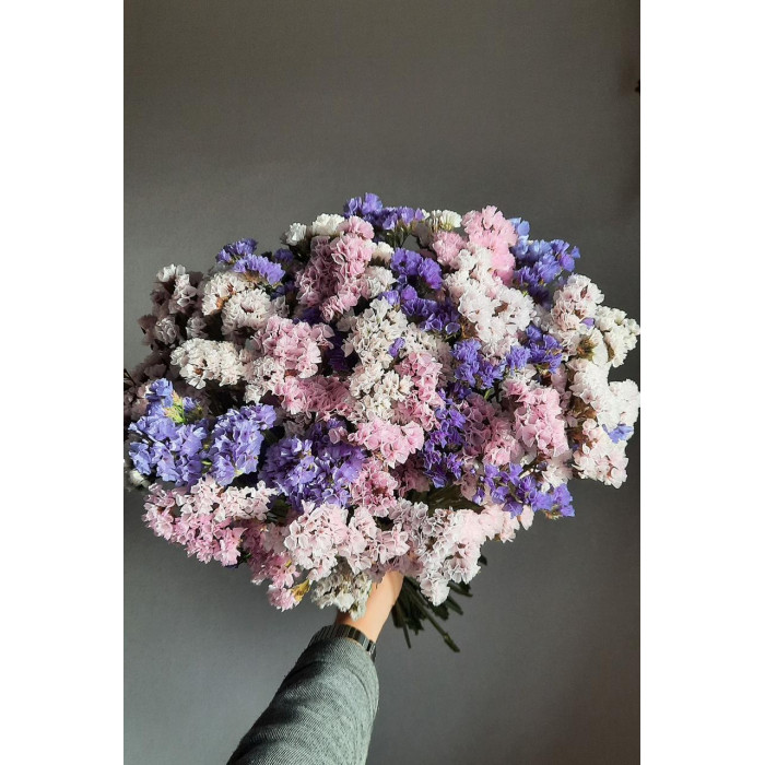 Статица (Лимониум) в Байконуре