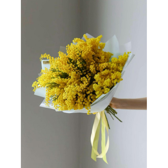 Мимоза в Байконуре