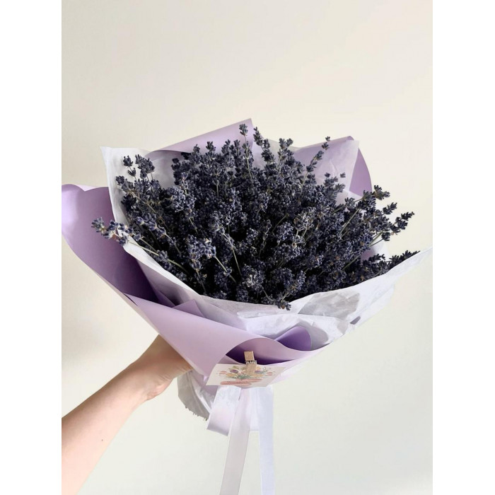 Лаванда в Байконуре