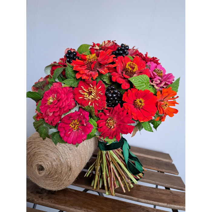 Циния в Байконуре