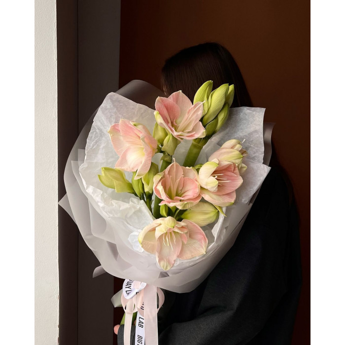 Амариллис в Байконуре