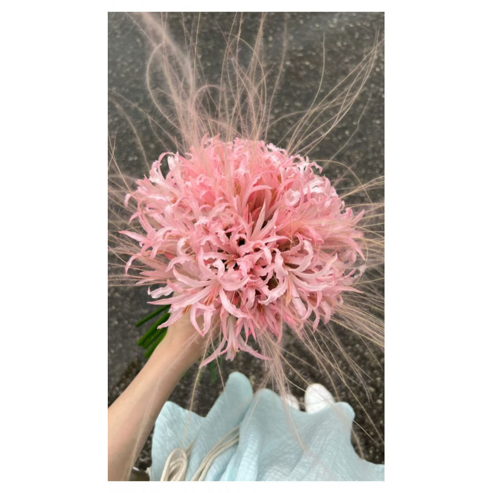 Нерине в Байконуре