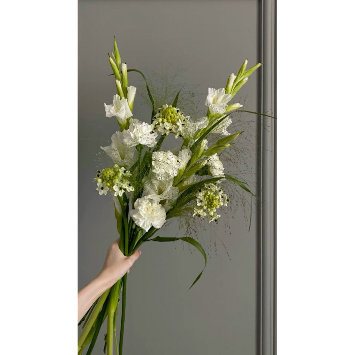 Орнитогалум в Байконуре