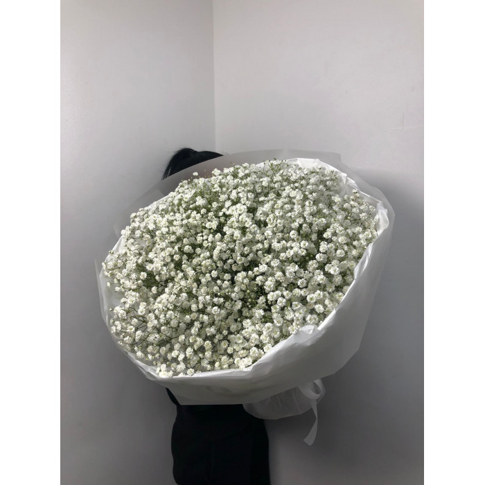 Гипсофила классическая в Байконуре