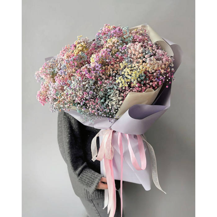 Гипсофила цветная в Байконуре