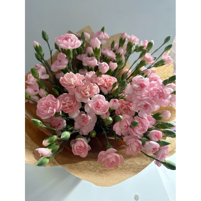 Кустовые гвоздики в Байконуре