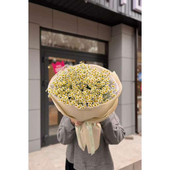 Танацетум в Байконуре