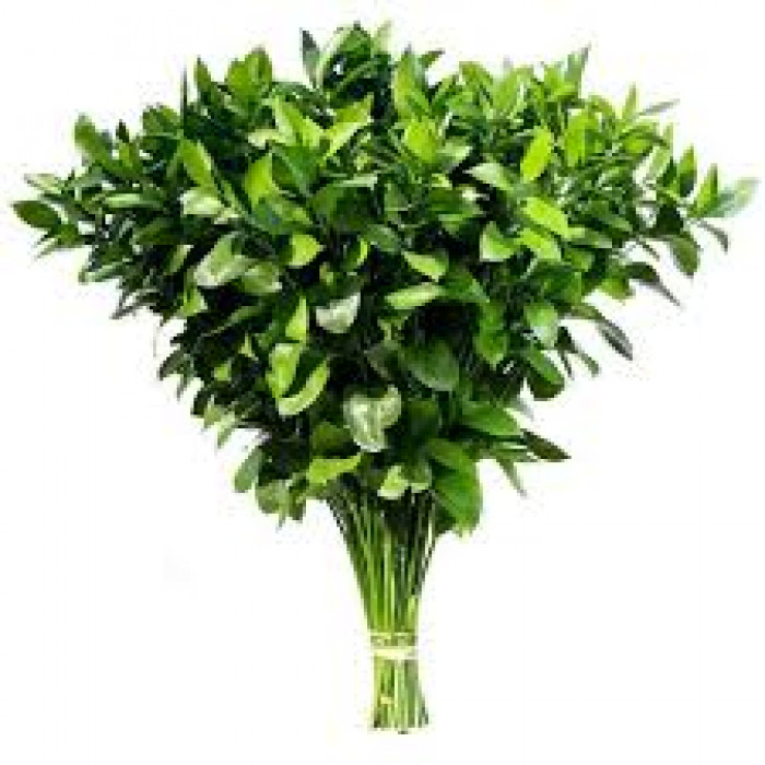 Рускус в Байконуре