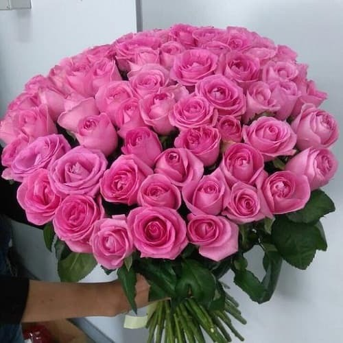 Купить на заказ Букет из 75 розовых роз с доставкой в Байконуре