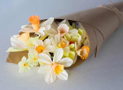 Нарцисс цветок купить